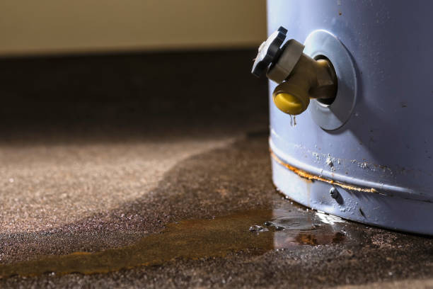 Best Water damage cleanup near me  in Appomattox, VA