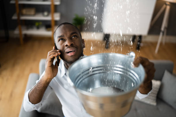 Best Basement water damage restoration  in Appomattox, VA