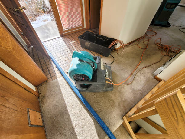 Best Sewage cleanup and water damage restoration  in Appomattox, VA