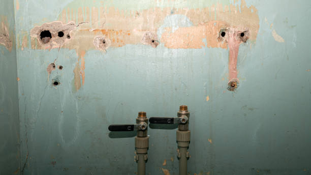 Best Water damage restoration near me  in Appomattox, VA