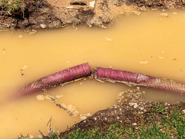  Appomattox, VA Water damage restoration Pros
